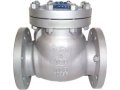 check-valves-in-kolkata-small-0