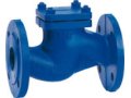 non-return-nrv-valves-suppliers-in-kolkata-small-0