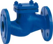 non-return-nrv-valves-suppliers-in-kolkata-big-0