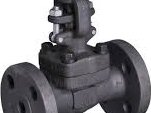 steam-valves-suppliers-in-kolkata